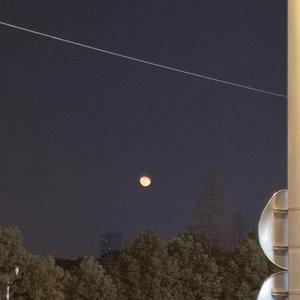 【乱子伦】国产精品
